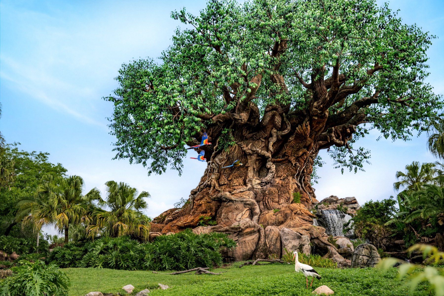 The Tree of Life